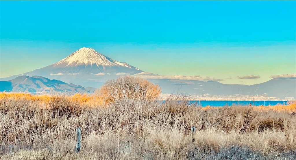 f:id:ttanabe83:20220103142631j:image