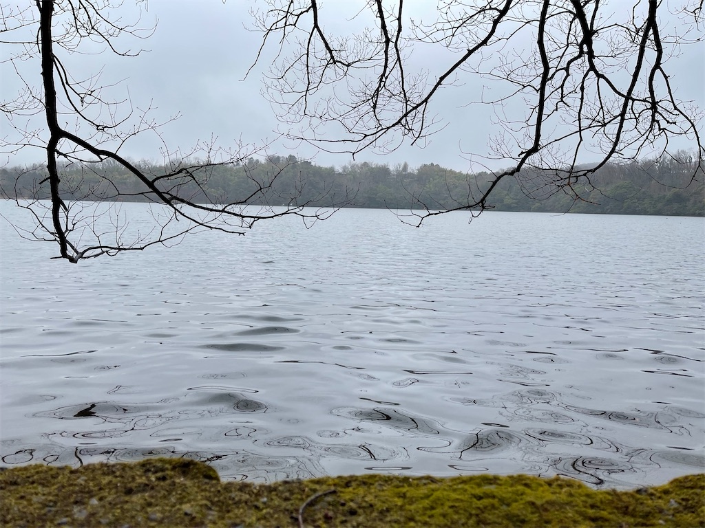 f:id:ttanabe83:20220321150802j:image