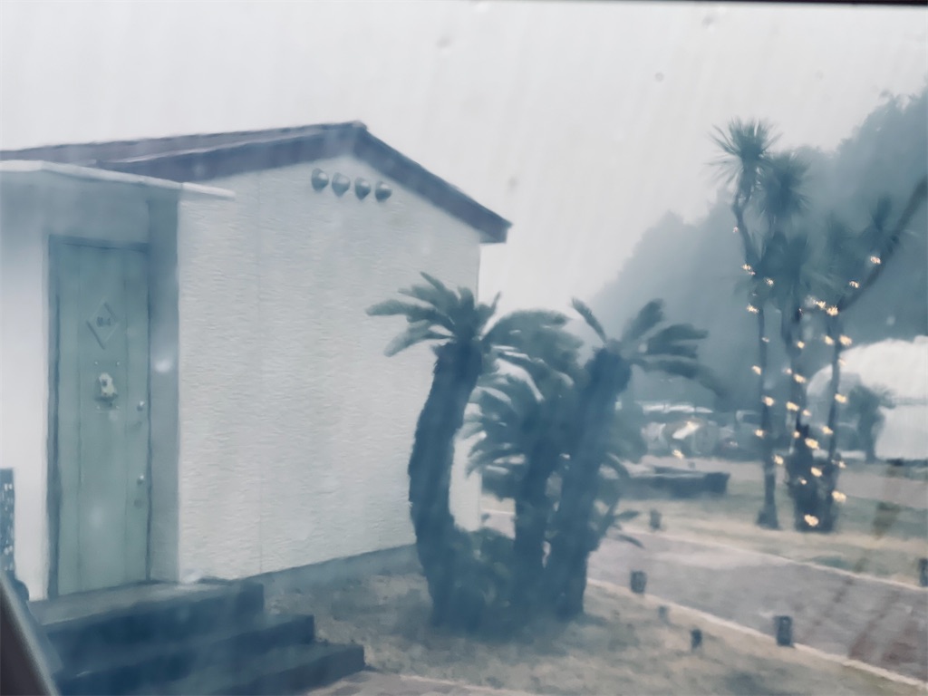 f:id:ttanabe83:20220321150828j:image