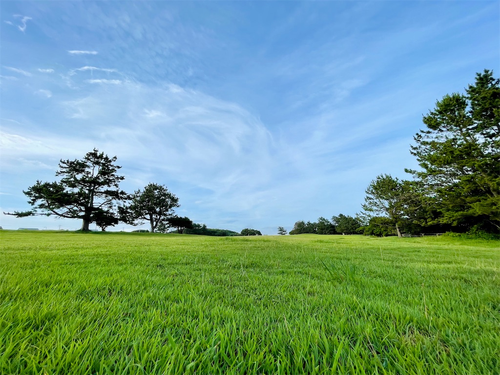 f:id:ttanabe83:20220712193109j:image