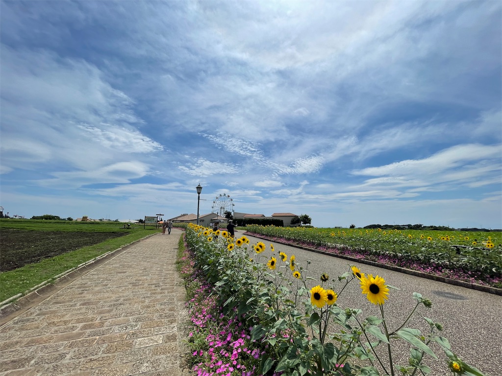 f:id:ttanabe83:20220720143021j:image