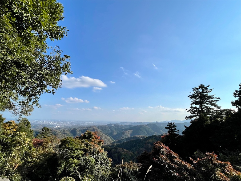 f:id:ttanabe83:20221113093812j:image f:id:ttanabe83:20221113093812j:image