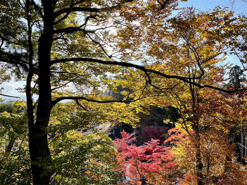 f:id:ttanabe83:20221113093818j:image f:id:ttanabe83:20221113093818j:image