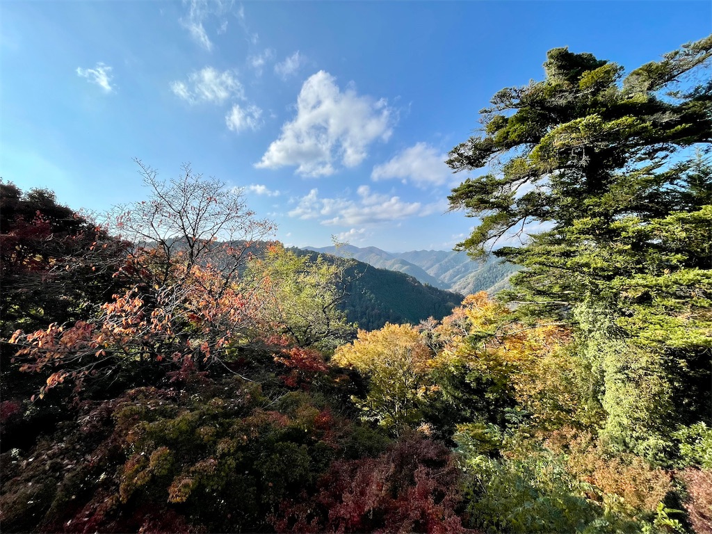 f:id:ttanabe83:20221113093822j:image f:id:ttanabe83:20221113093822j:image