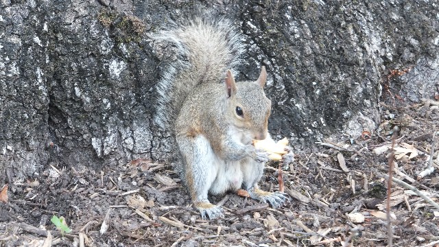 f:id:ttd22q:20190712160626j:image