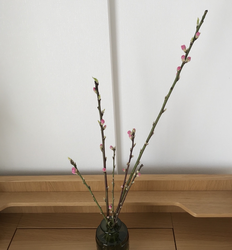 f:id:ttkppy:20180302180045j:plain
