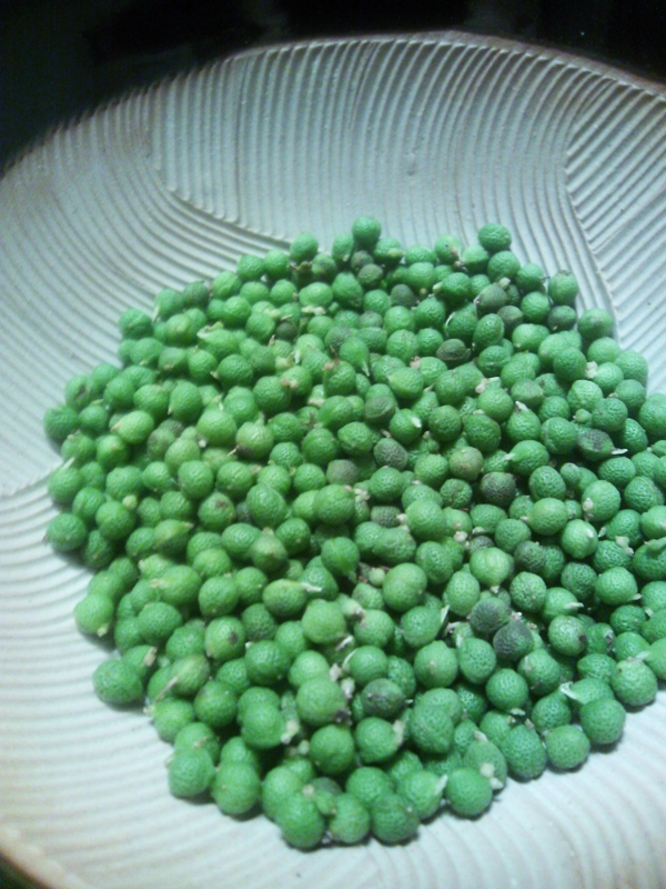 f:id:ttm_cooking:20130617233354j:image:w360