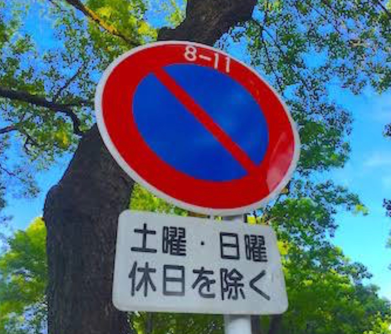 f:id:ttmyamato:20221207060713j:image f:id:ttmyamato:20221207060713j:image