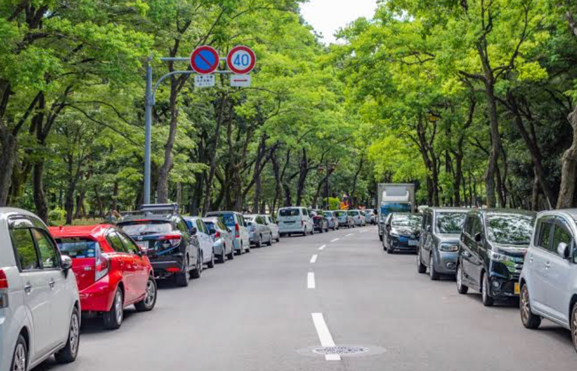 f:id:ttmyamato:20221207060717j:image f:id:ttmyamato:20221207060717j:image