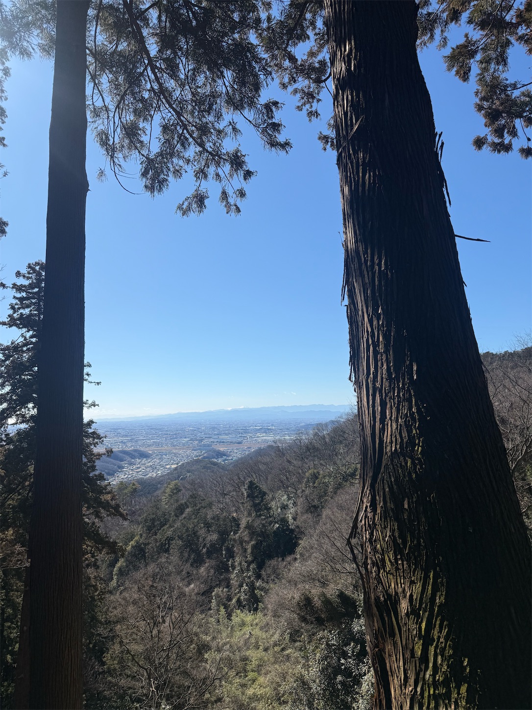 f:id:ttn8rj828x:20260201144528j:image