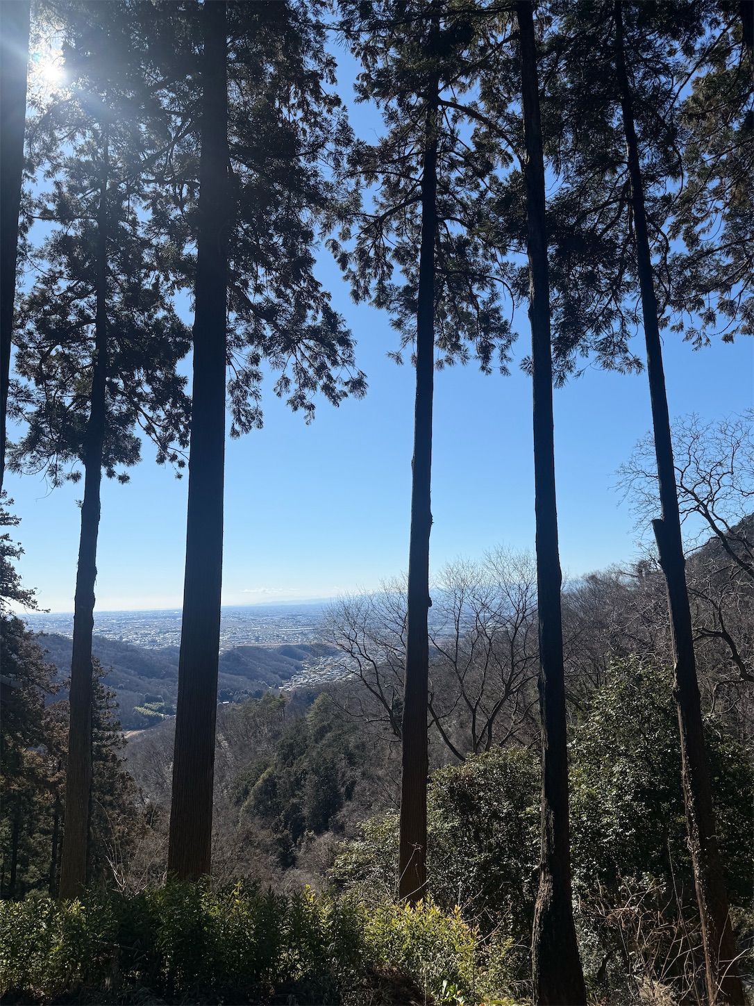 f:id:ttn8rj828x:20260201144808j:image