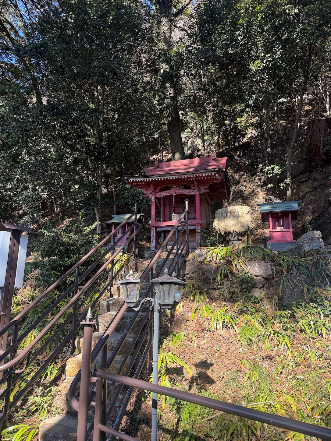 f:id:ttn8rj828x:20260201144819j:image