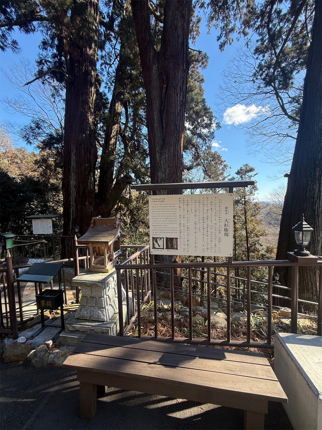 f:id:ttn8rj828x:20260201144854j:image