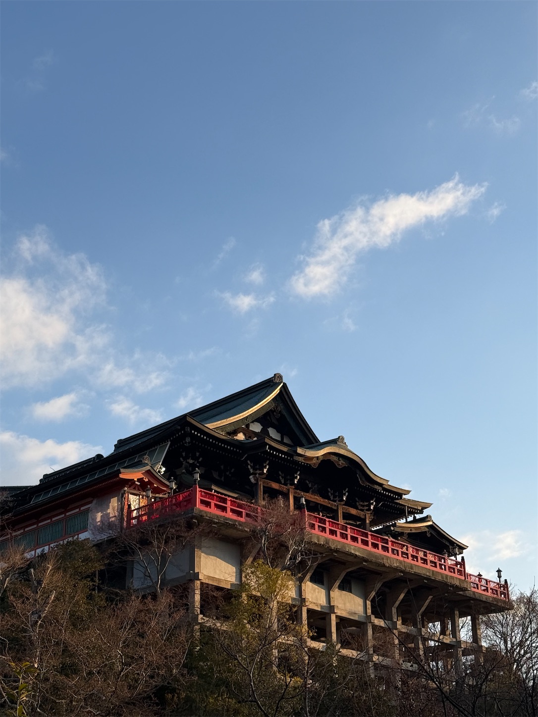 f:id:ttn8rj828x:20260222090542j:image