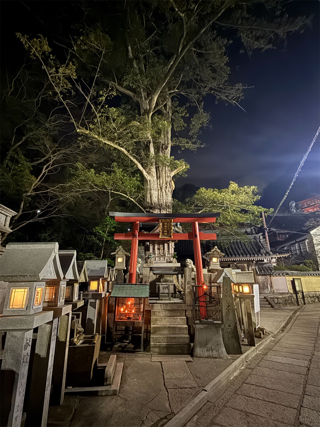 f:id:ttn8rj828x:20260223200110j:image