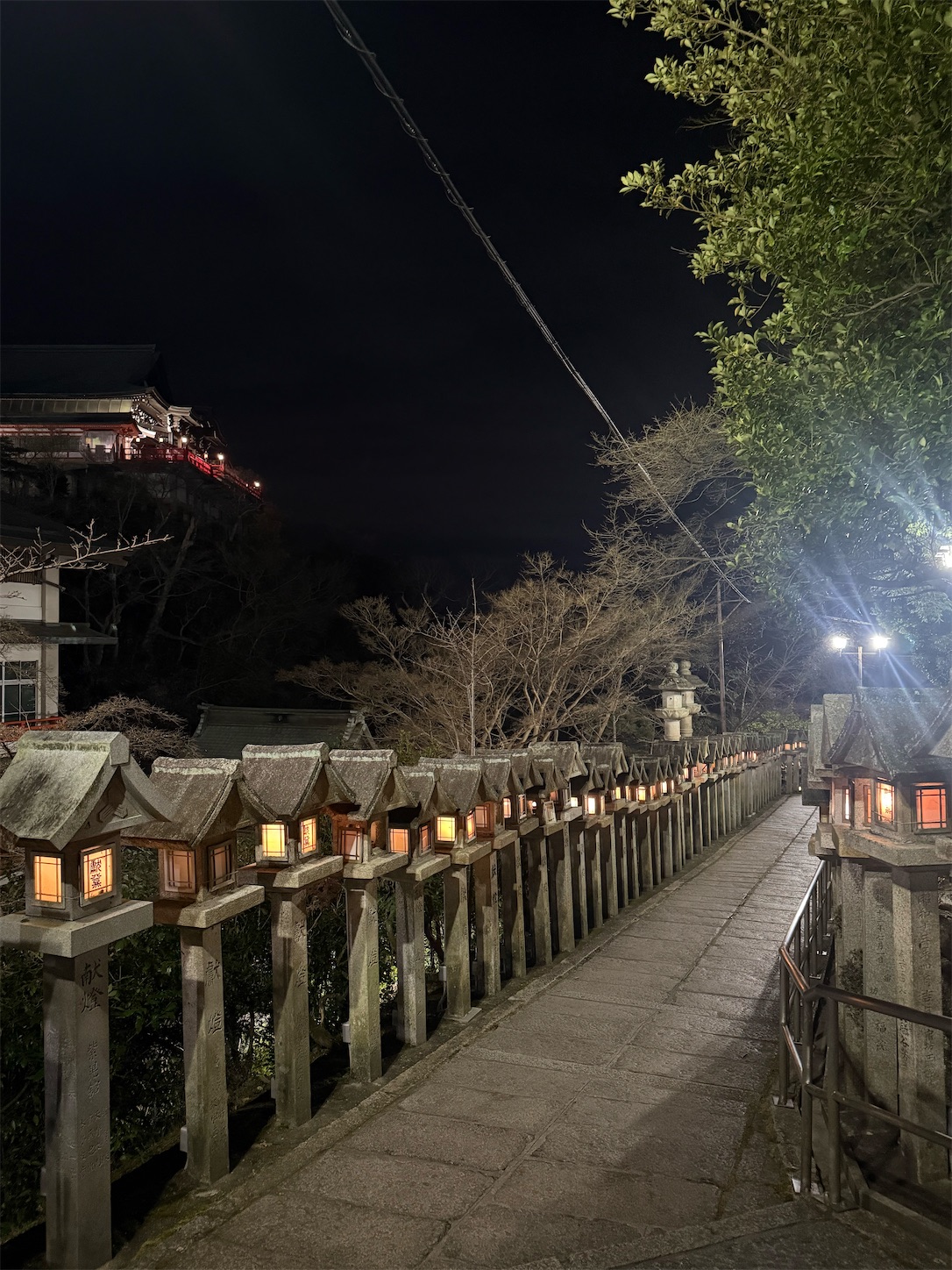 f:id:ttn8rj828x:20260223200122j:image