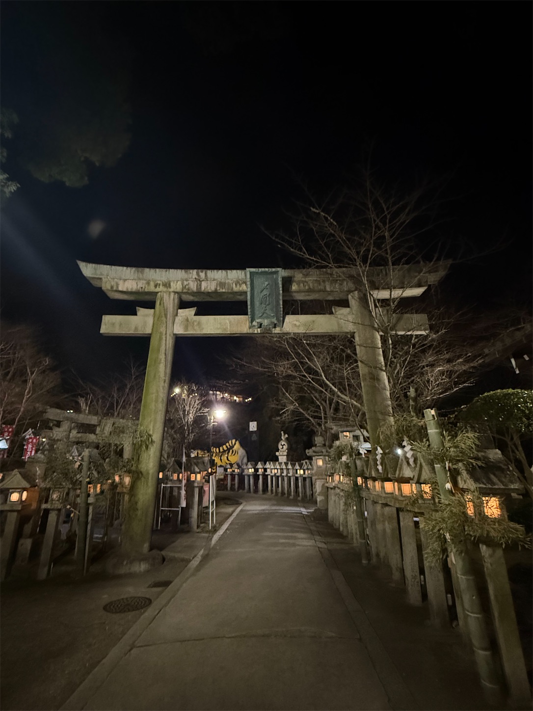 f:id:ttn8rj828x:20260223200152j:image
