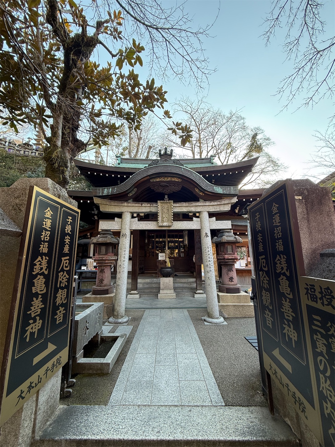 f:id:ttn8rj828x:20260227121831j:image
