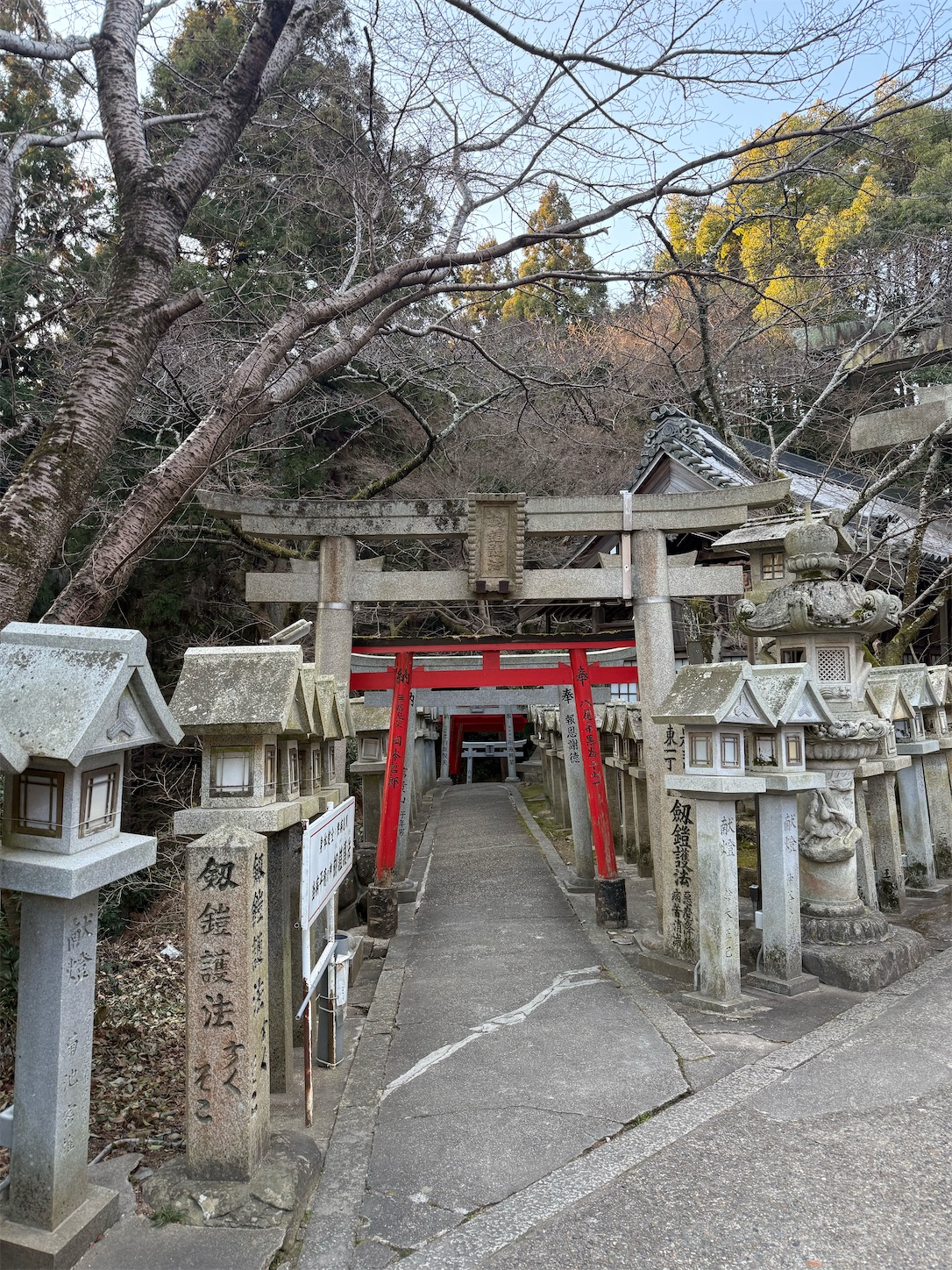 f:id:ttn8rj828x:20260227121843j:image