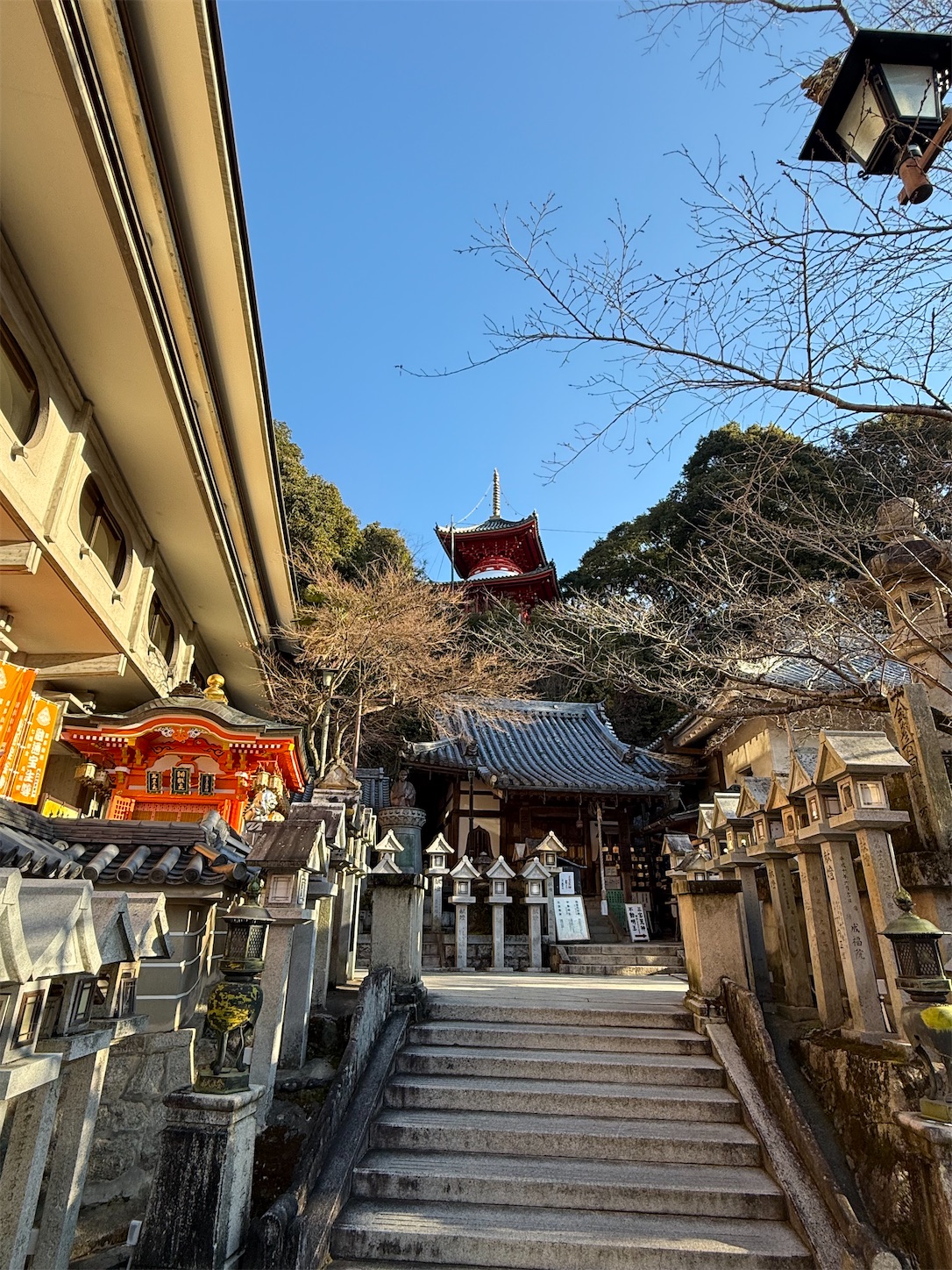f:id:ttn8rj828x:20260227121855j:image