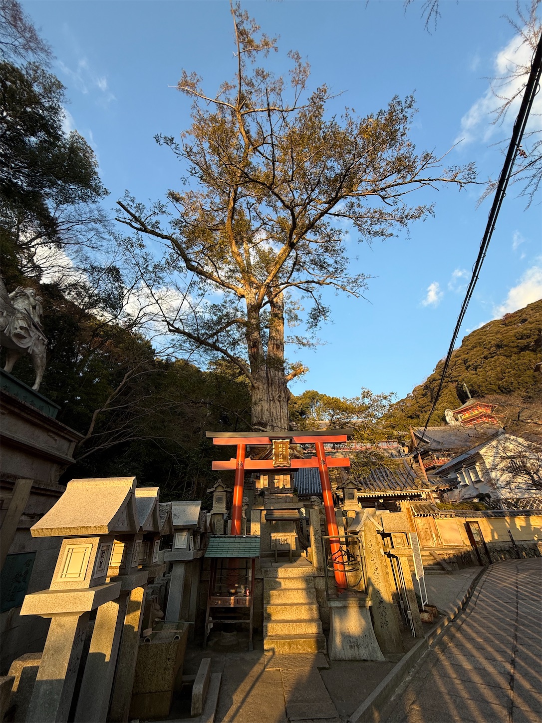 f:id:ttn8rj828x:20260227121911j:image