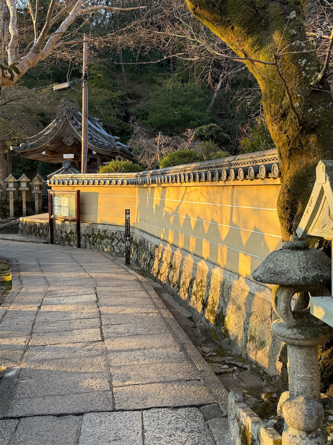 f:id:ttn8rj828x:20260227121950j:image