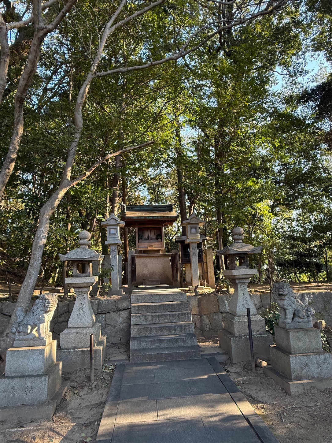 f:id:ttn8rj828x:20260227122031j:image