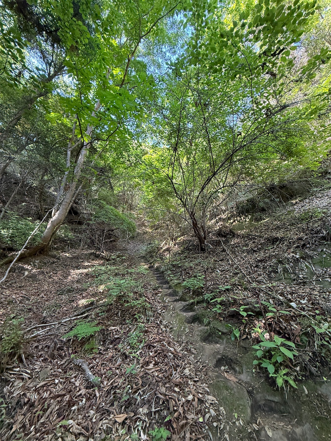 f:id:ttn8rj828x:20260516155242j:image