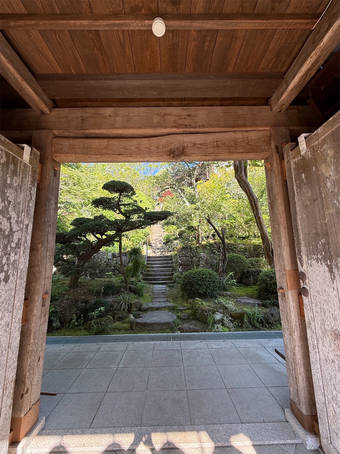 f:id:ttn8rj828x:20260516155505j:image