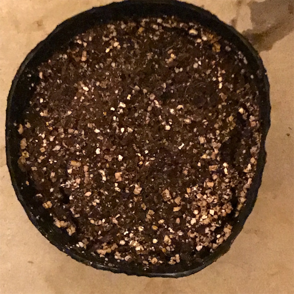 f:id:ttomozo:20190407112510j:image f:id:ttomozo:20190407112510j:image
