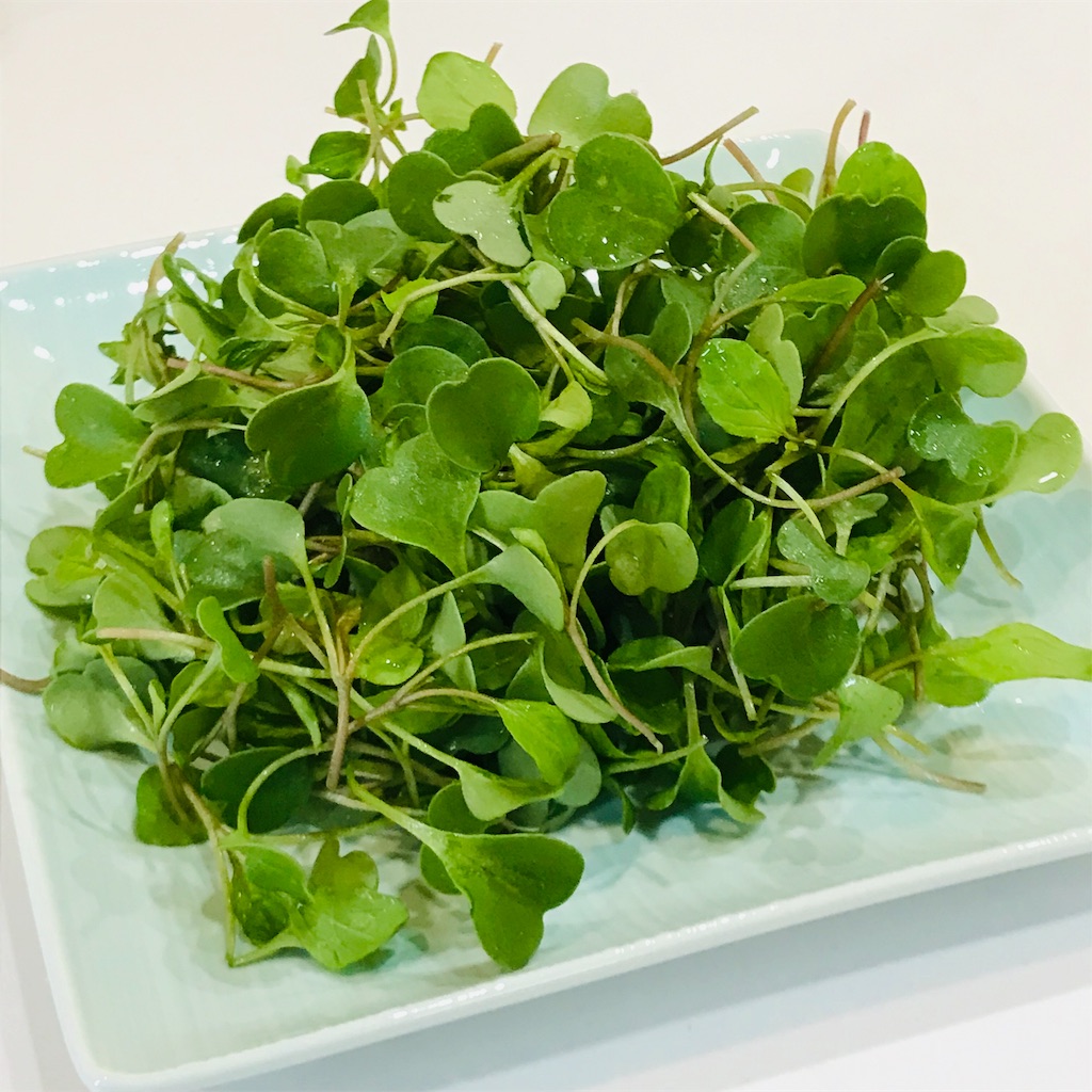 f:id:ttomozo:20190414150052j:image f:id:ttomozo:20190414150052j:image