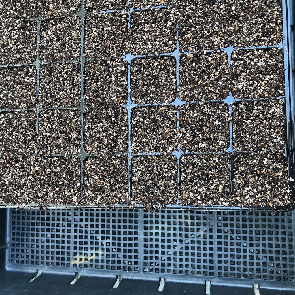 f:id:ttomozo:20190824194038j:image