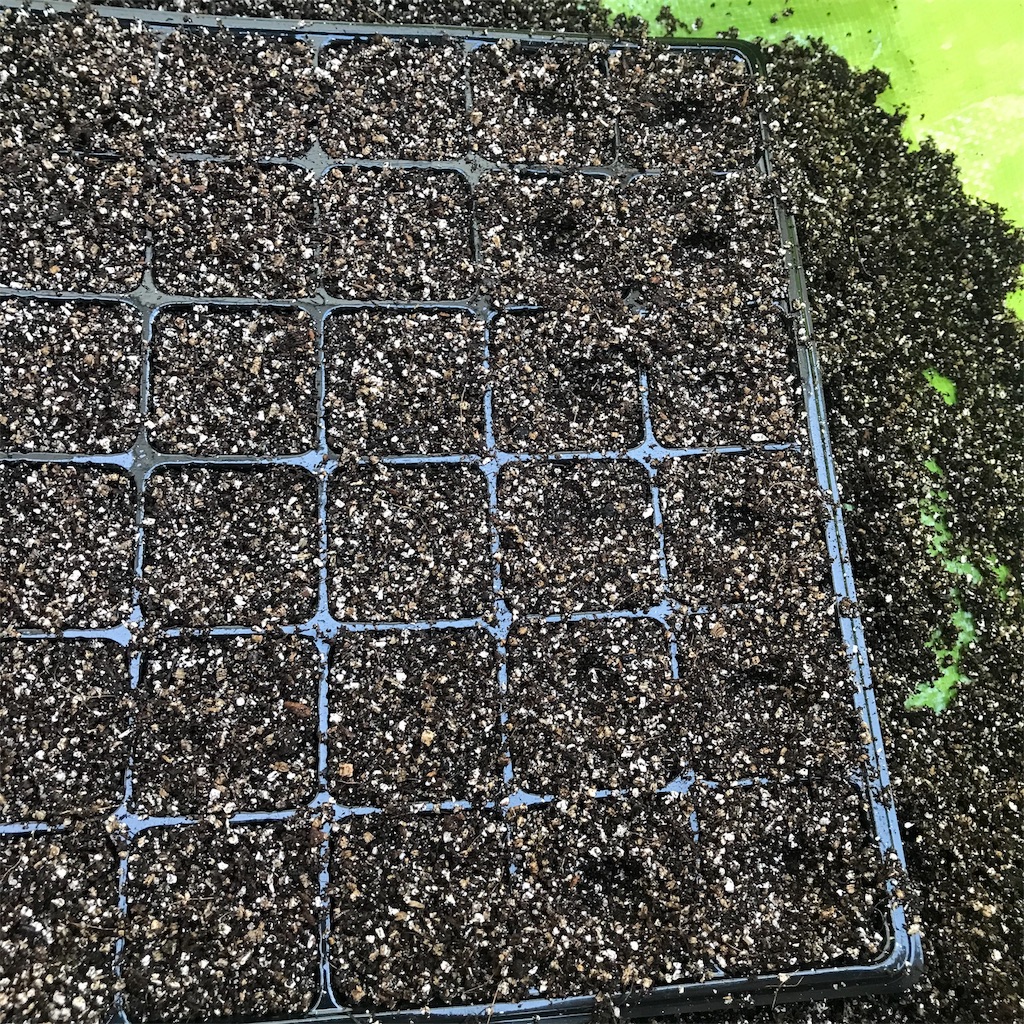 f:id:ttomozo:20190824194042j:image