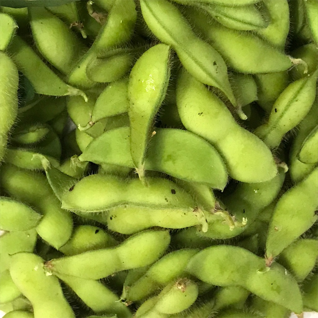 f:id:ttomozo:20190901222747j:image