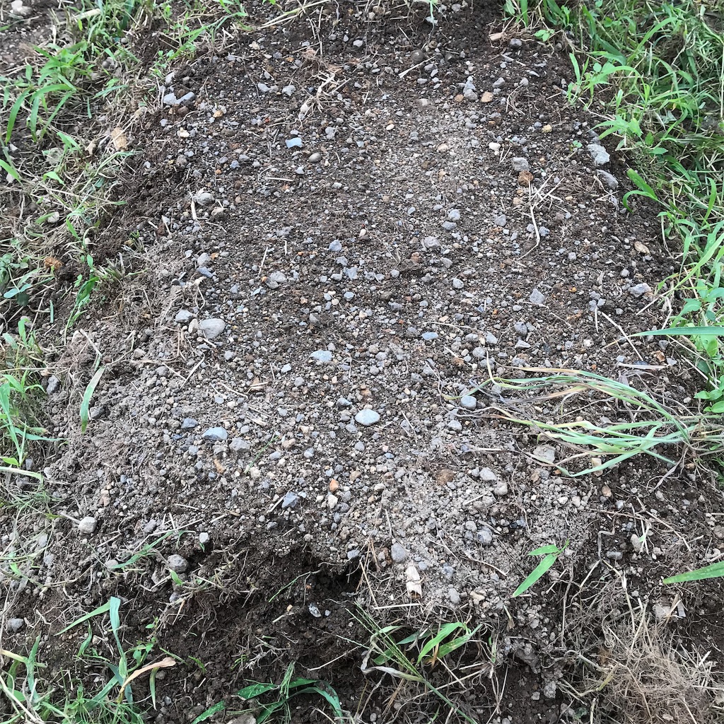 f:id:ttomozo:20190902071337j:image