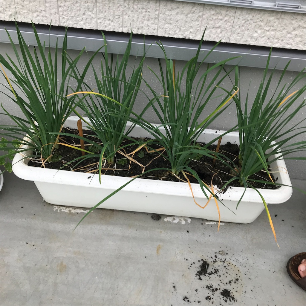 f:id:ttomozo:20190908130134j:image