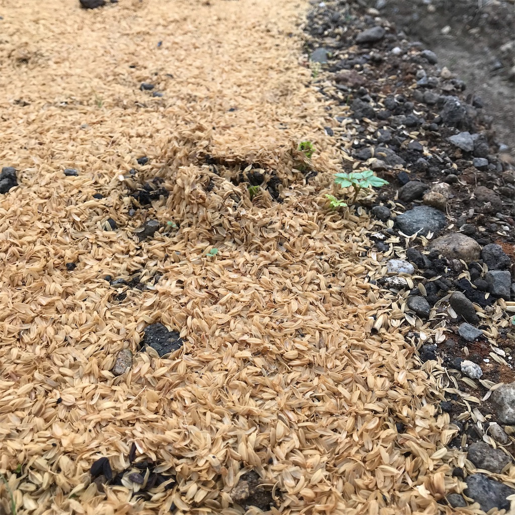 f:id:ttomozo:20190911072312j:image