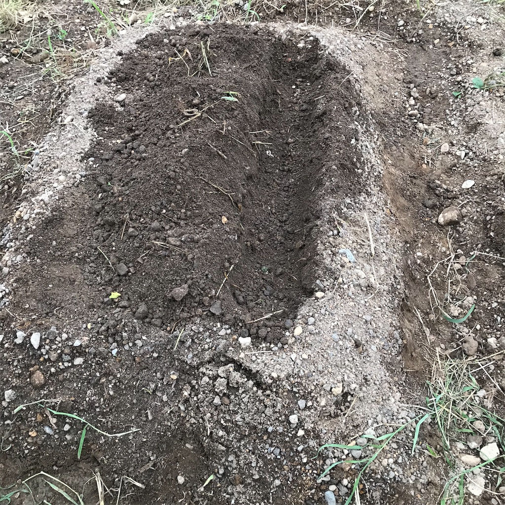 f:id:ttomozo:20190911072415j:image