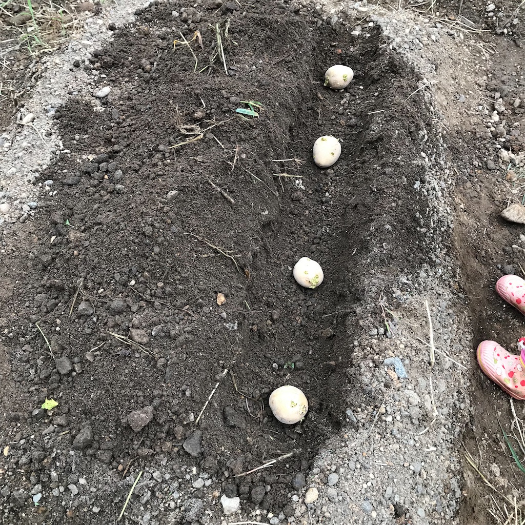 f:id:ttomozo:20190911072432j:image