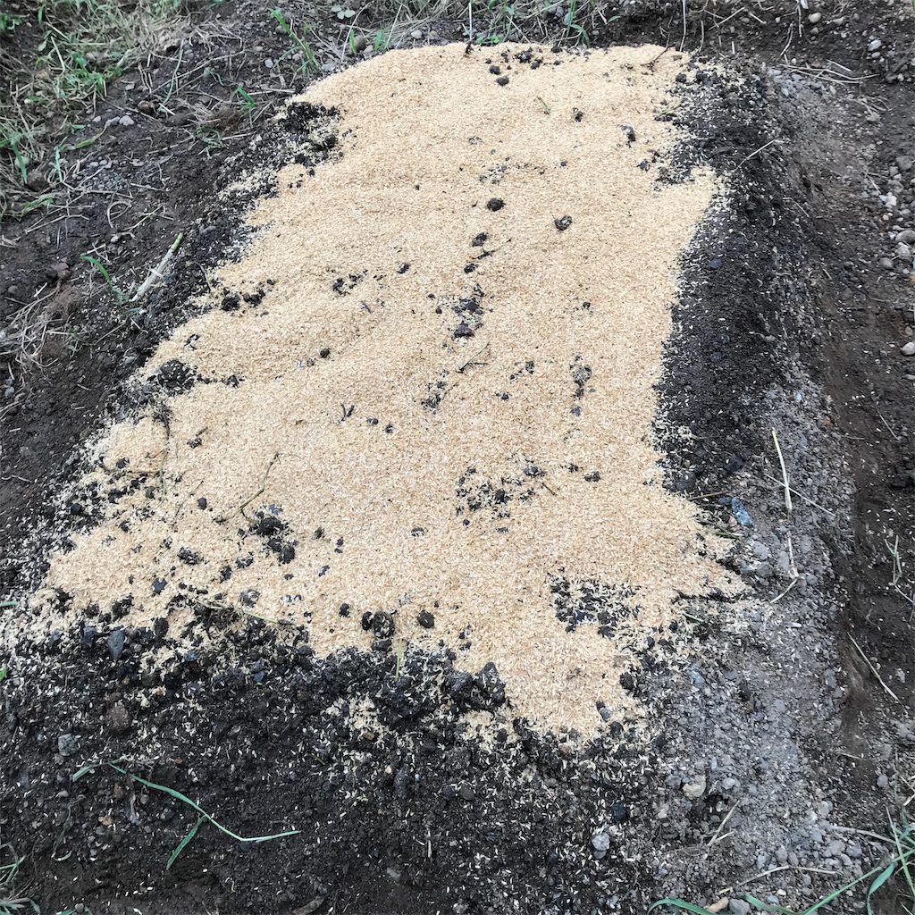 f:id:ttomozo:20190911072455j:image