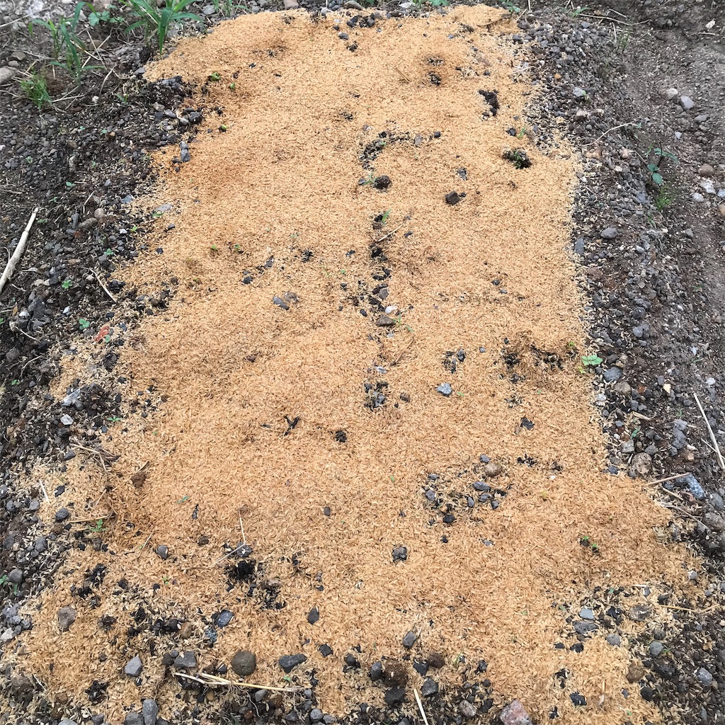 f:id:ttomozo:20190911072459j:image