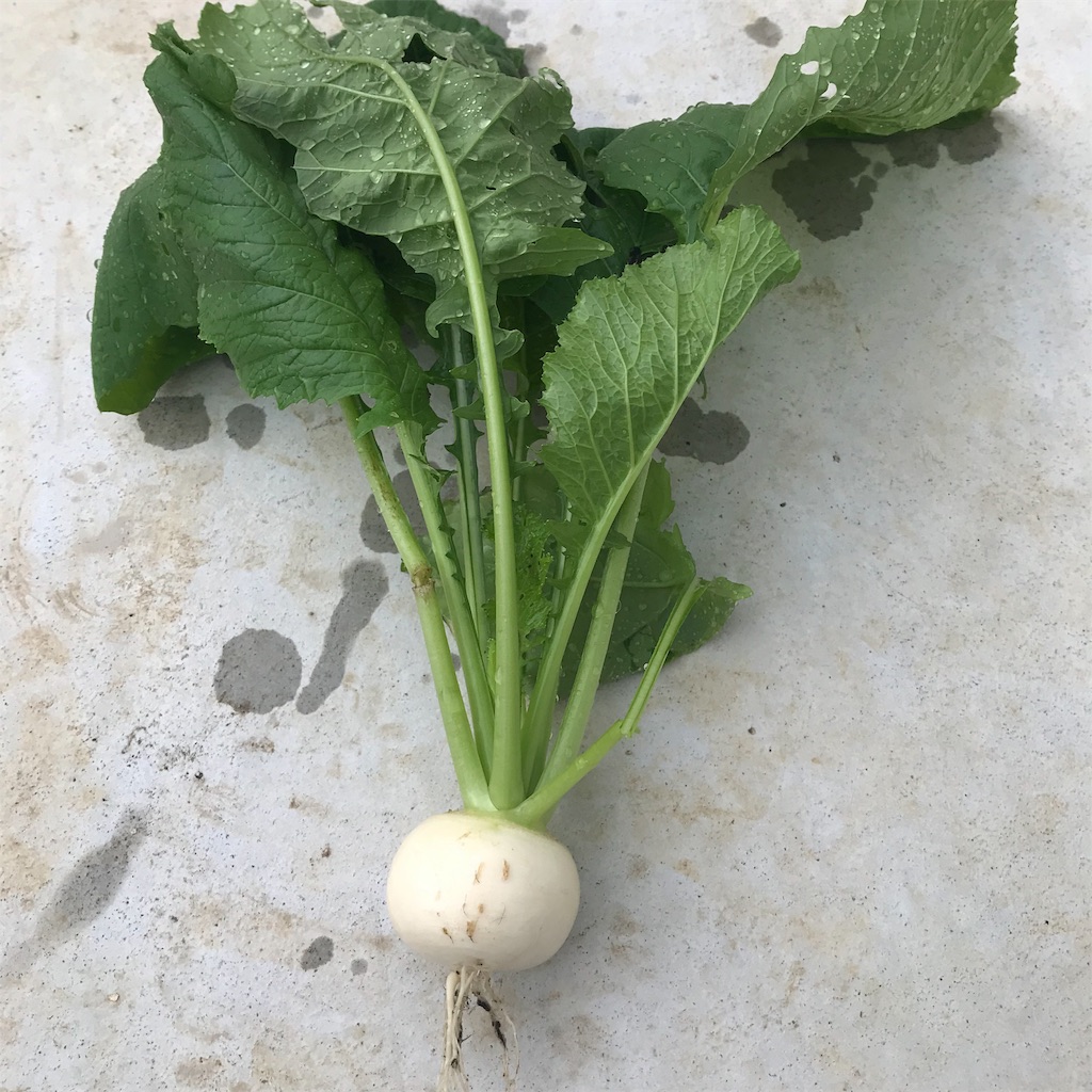 f:id:ttomozo:20190924175715j:image