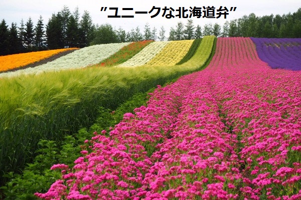 北海道弁の花畑
