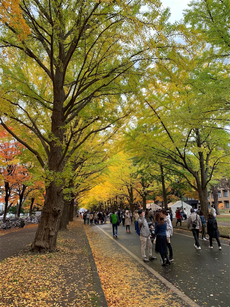 f:id:ttori_fc:20181028113920j:image