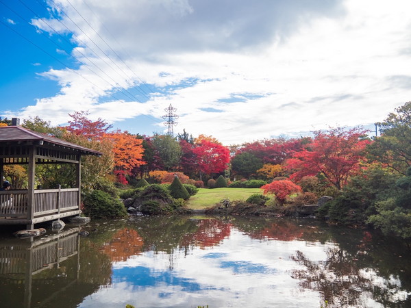 平岡樹芸センターの紅葉