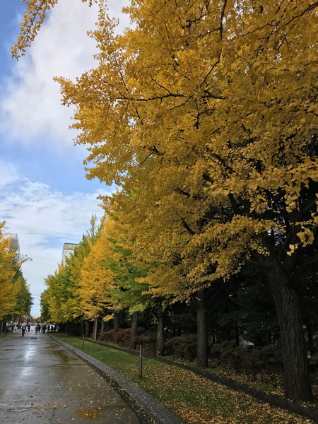 f:id:ttori_fc:20181101215631j:plain