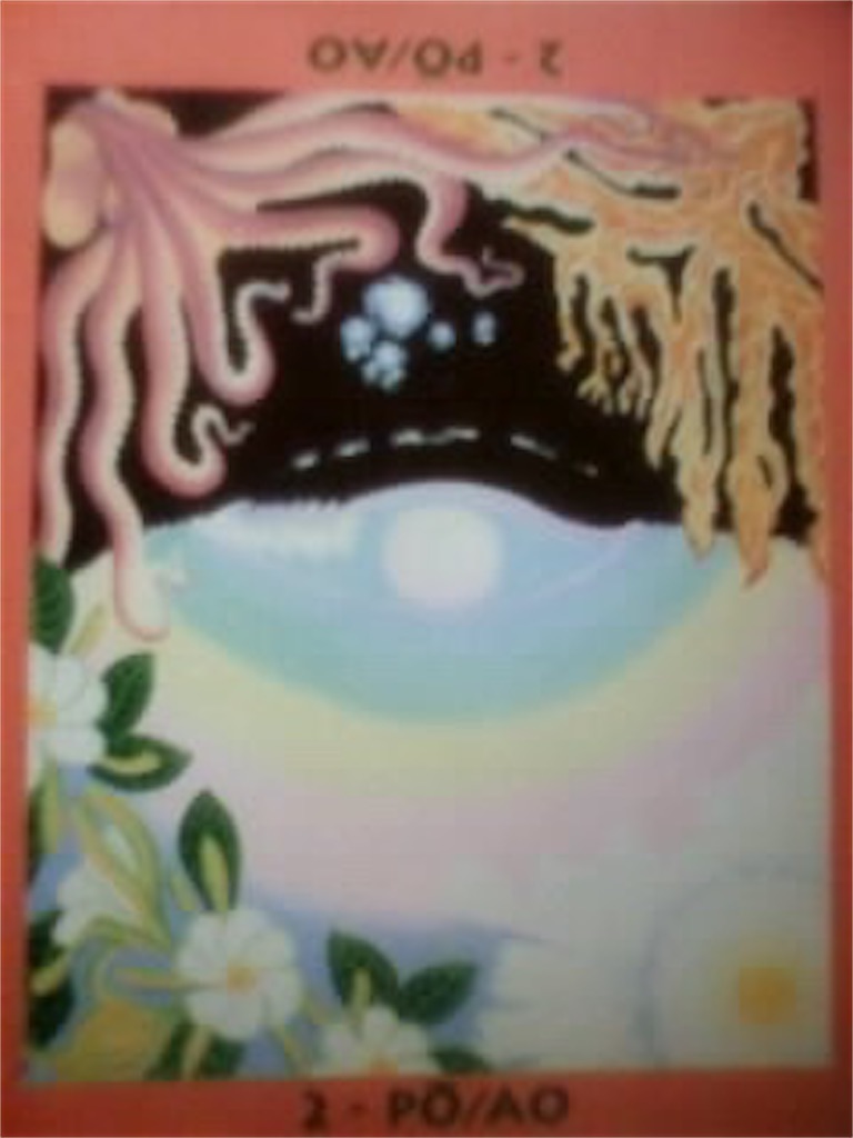 f:id:ttoyomo3:20200221102059j:image