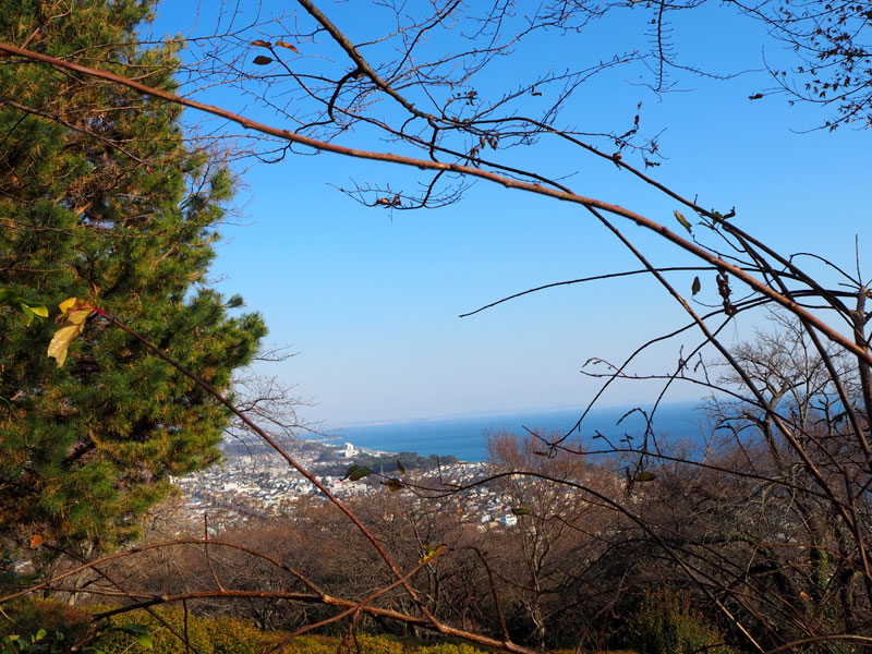 f:id:ttq-happy:20190114142806j:plain