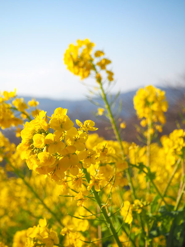 f:id:ttq-happy:20190114143048j:plain