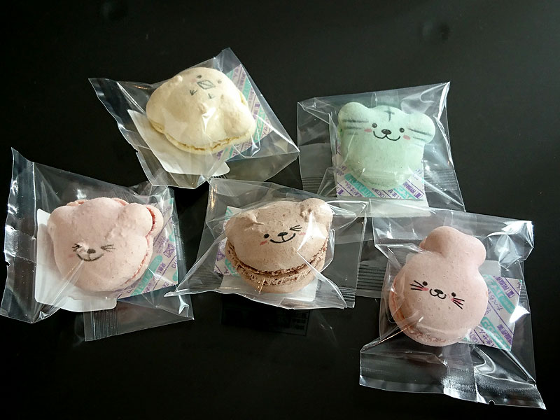 f:id:ttq-happy:20190114143125j:plain